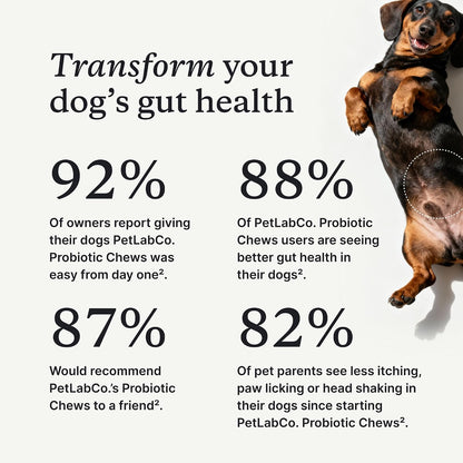 PetLab Co. Probiotics for Dogs, Support Gut Health, Occasional Diarrhea, Digestive Health & Seasonal Allergies - 30 Soft Chews - Packaging May Vary